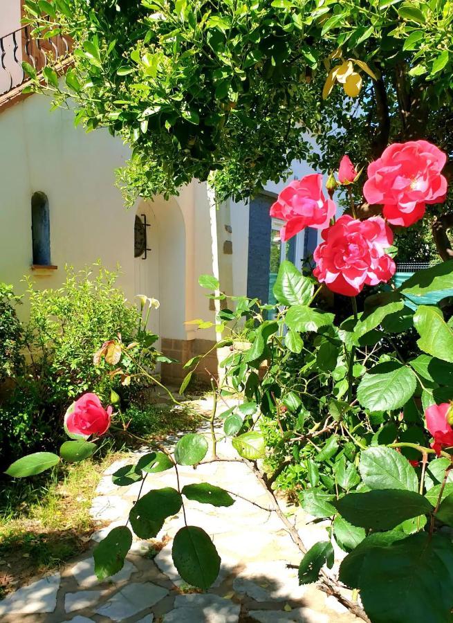 Studio Au Calme Tout Confort Proche Des Plages - Jardin Wifi Parking Frejus Ngoại thất bức ảnh